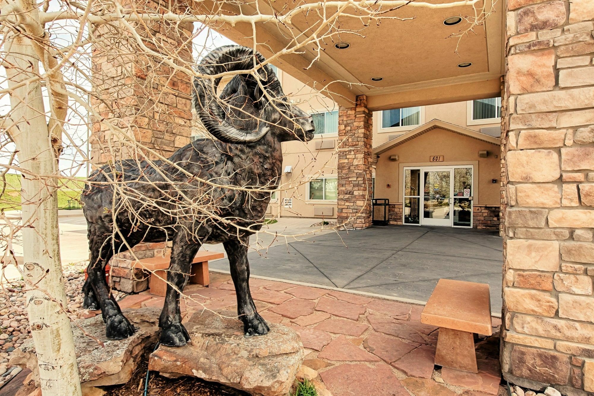 Comfort Inn Fort Collins North Exterior foto