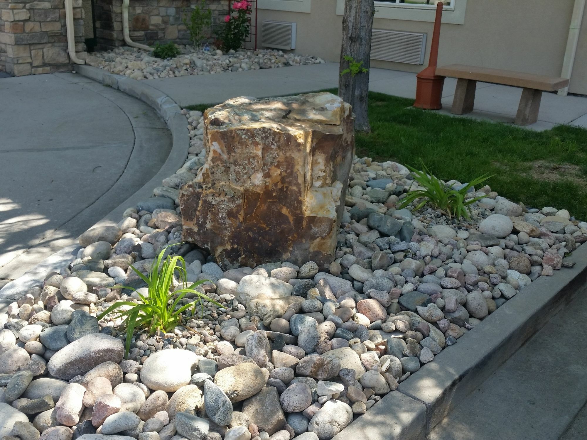 Comfort Inn Fort Collins North Exterior foto